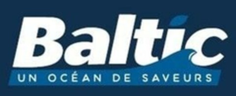 Baltic UN OCÉAN DE SAVEURS Logo (EUIPO, 05/21/2024)