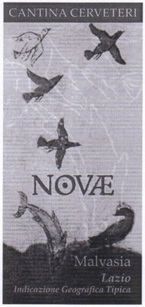 CANTINA CERVETERI NOVAE Logo (EUIPO, 18.07.2007)