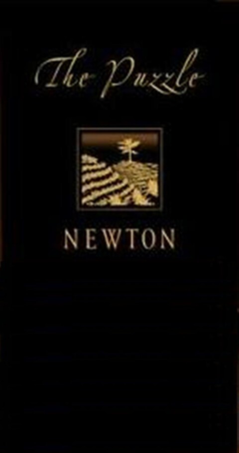 The Puzzle NEWTON Logo (EUIPO, 30.06.2009)