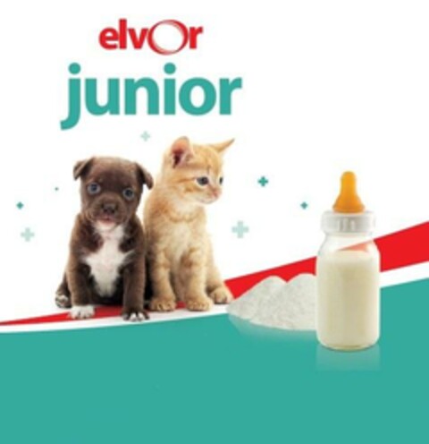 elvor junior Logo (EUIPO, 02.05.2024)