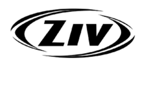 ZIV Logo (EUIPO, 08.06.2012)