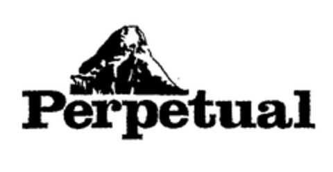 Perpetual Logo (EUIPO, 06.01.1998)