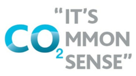 CO2 "IT'S MMON SENSE" Logo (EUIPO, 10/24/2007)