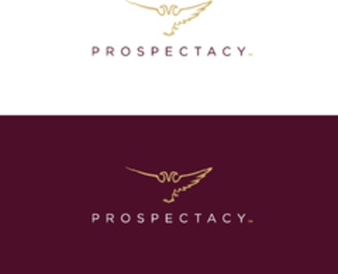 PROSPECTACY Logo (EUIPO, 30.03.2012)