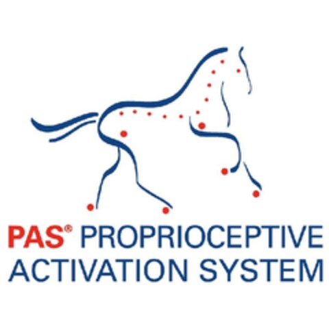 PAS PROPRIOCEPTIVE ACTIVATION SYSTEM Logo (EUIPO, 12/20/2012)