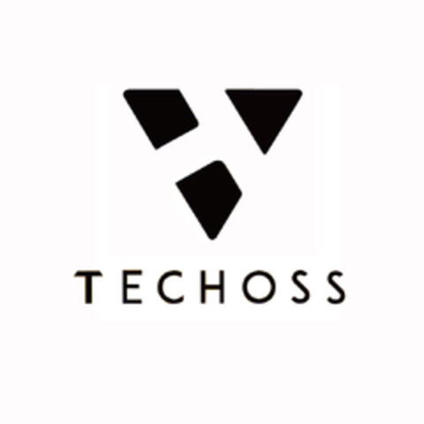 TECHOSS Logo (EUIPO, 27.08.2017)