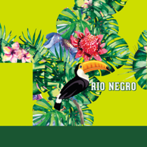 Rio Negro Logo (EUIPO, 02.02.2021)
