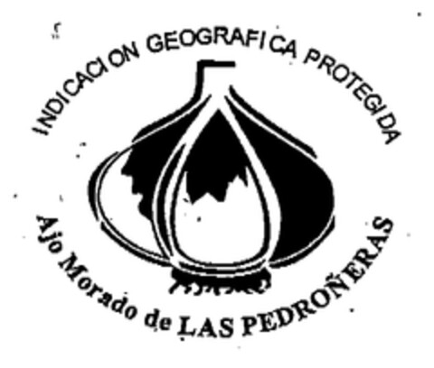 INDICACION GEOGRAFICA PROTEGIDA Ajo Morado de LAS PEDROÑERAS Logo (EUIPO, 20.05.2003)