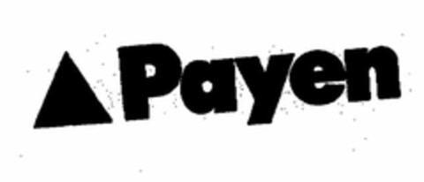 Payen Logo (EUIPO, 10/30/2003)