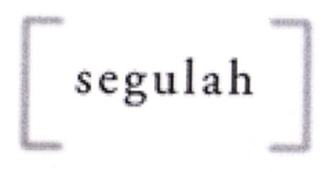 segulah Logo (EUIPO, 06.10.2004)