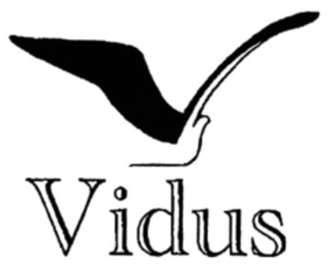 Vidus Logo (EUIPO, 08/13/2008)