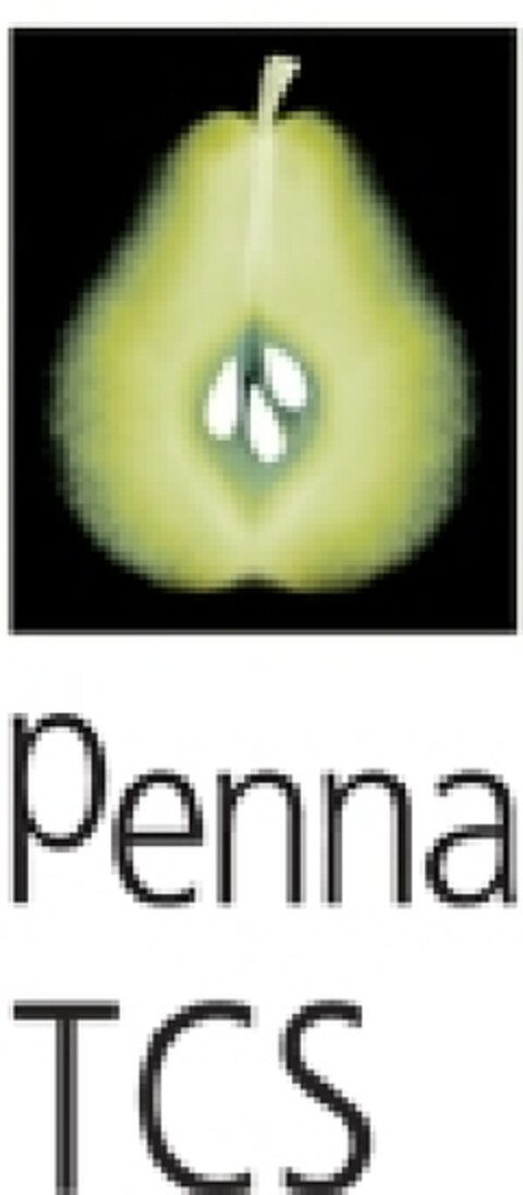 Penna TCS Logo (EUIPO, 15.10.2009)