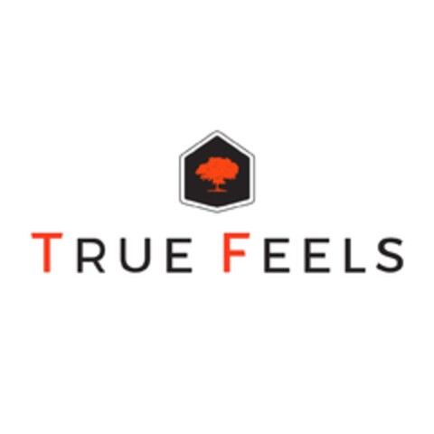 TRUE FEELS Logo (EUIPO, 14.01.2019)