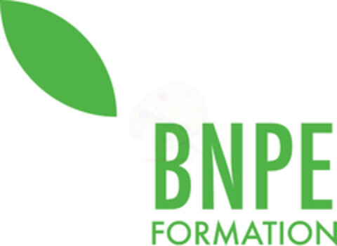 BNPE FORMATION Logo (EUIPO, 09.07.2020)