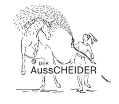 DER AussCHEIDER Logo (EUIPO, 08.02.2021)