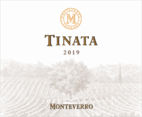 TINATA MONTEVERRO Logo (EUIPO, 28.07.2022)