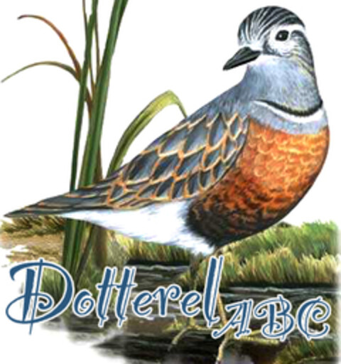 Dotterel ABC Logo (EUIPO, 06/18/2008)