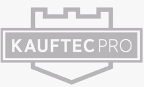 KAUFTEC PRO Logo (EUIPO, 23.07.2012)