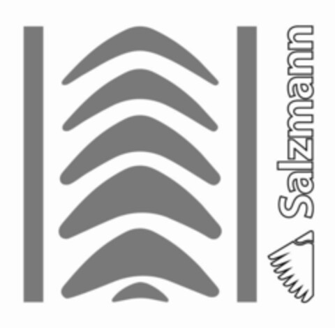 Salzmann Logo (EUIPO, 06/18/2019)