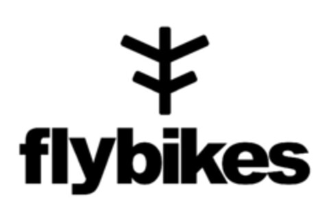 FLYBIKES Logo (EUIPO, 29.07.2020)