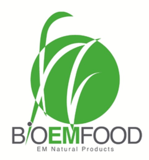 B OEMFOOD EM Natural Products Logo (EUIPO, 26.11.2007)