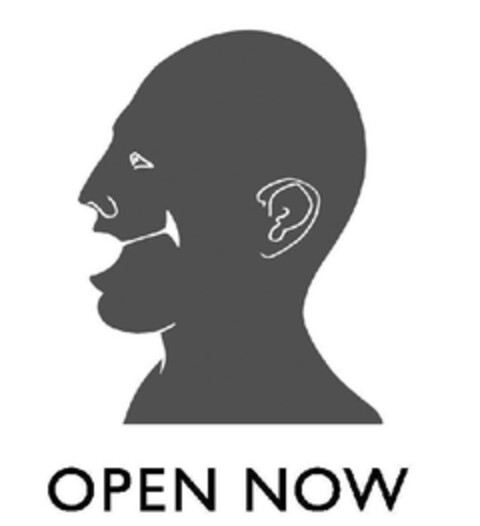 OPEN NOW Logo (EUIPO, 24.03.2011)