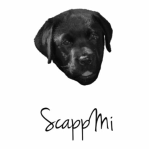 ScappMi Logo (EUIPO, 13.01.2015)