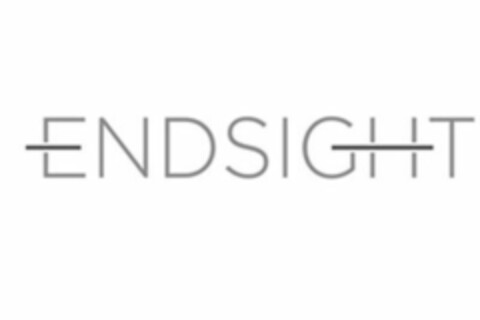 ENDSIGHT Logo (EUIPO, 04/17/2015)