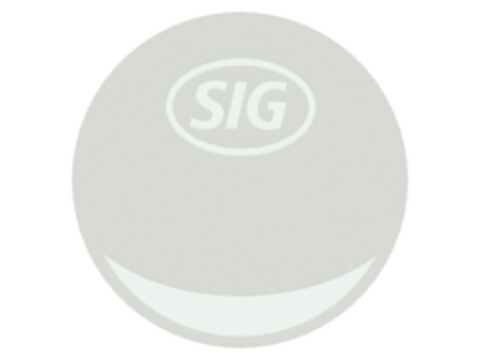 SIG Logo (EUIPO, 04.04.2019)