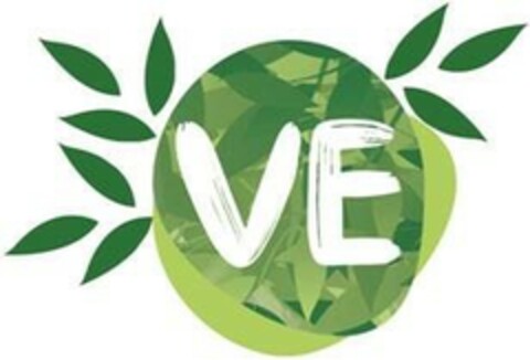 VE Logo (EUIPO, 16.04.2021)