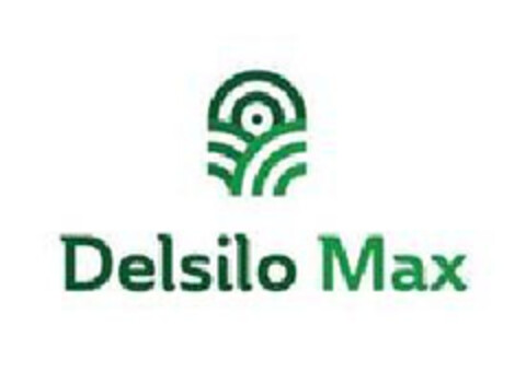 DELSILO MAX Logo (EUIPO, 02/02/2022)