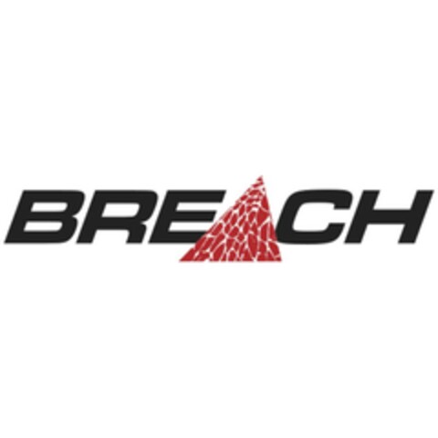 BRECH Logo (EUIPO, 07/17/2024)