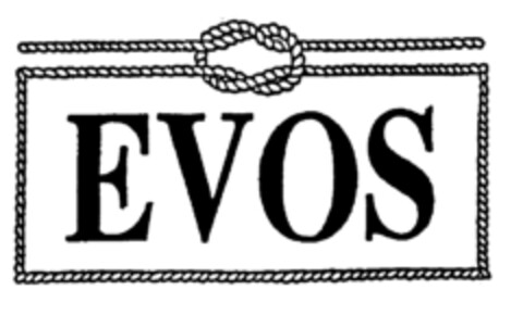 EVOS Logo (EUIPO, 04/01/1996)