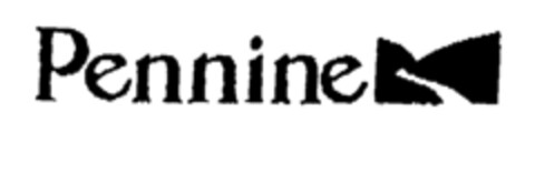 Pennine Logo (EUIPO, 05/15/1996)