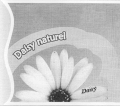 Daisy naturel Logo (EUIPO, 04/22/2009)