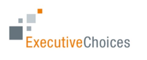 EXECUTIVE CHOICES Logo (EUIPO, 10.01.2014)