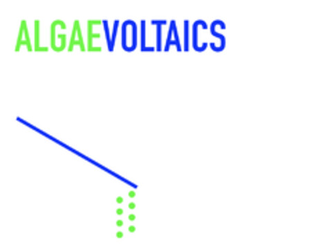 ALGAEVOLTAICS Logo (EUIPO, 01/08/2021)