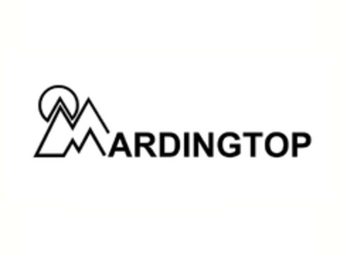 MARDINGTOP Logo (EUIPO, 26.03.2024)