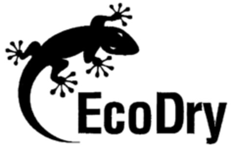 EcoDry Logo (EUIPO, 16.05.2000)