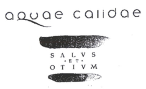 aquae calidae SALVS ET OTIVM Logo (EUIPO, 07.01.2004)