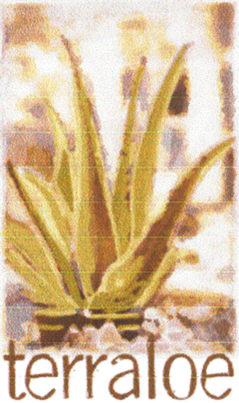 terraloe Logo (EUIPO, 11/29/2004)