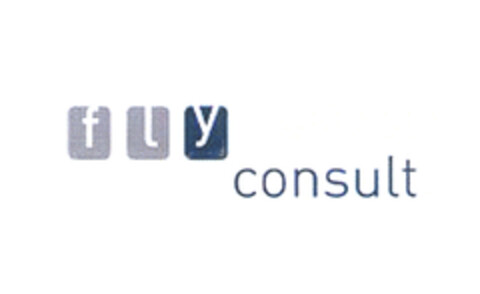 fly consult Logo (EUIPO, 02.03.2005)