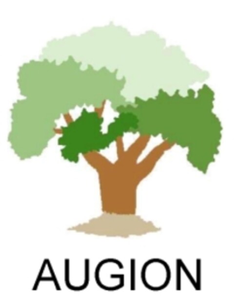 AUGION Logo (EUIPO, 11.05.2007)