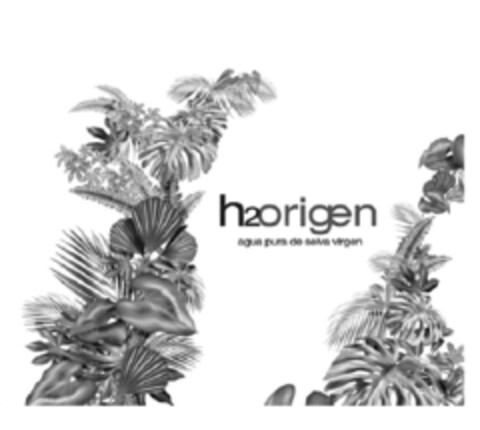 h2origen agua pura de selva virgen Logo (EUIPO, 03/30/2009)