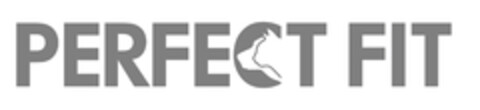 PERFECT FIT Logo (EUIPO, 10.06.2016)