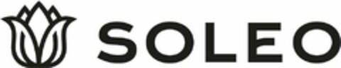 SOLEO Logo (EUIPO, 12.02.2020)