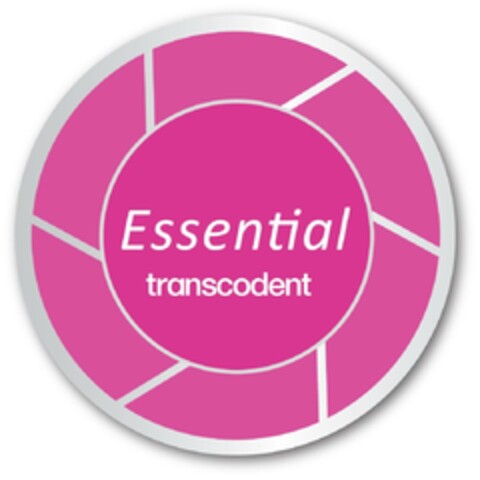 Essential transcodent Logo (EUIPO, 20.08.2024)