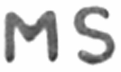 MS Logo (EUIPO, 04.12.2003)