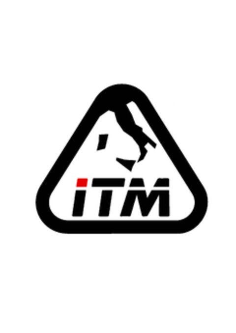 ITM Logo (EUIPO, 09/01/2009)