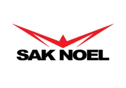 SAK NOEL Logo (EUIPO, 19.12.2012)